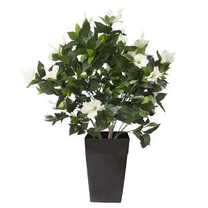 Plant-hibiscus-blanc-decoration-exterieur-fausse_plante