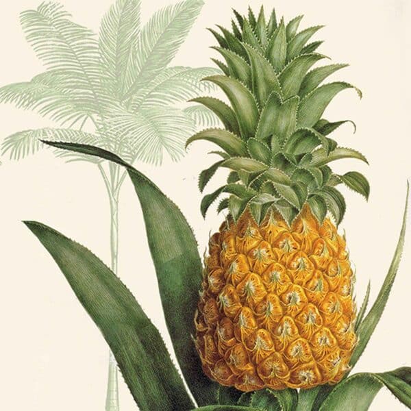 napkin décorative ananas été